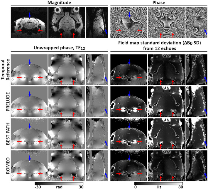 FIGURE 6