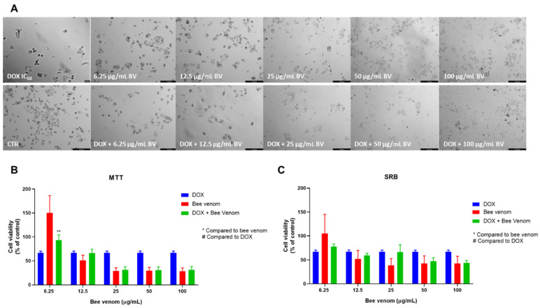 Figure 12