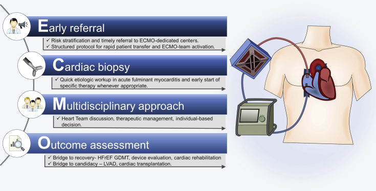 Figure 5