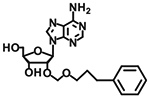 graphic file with name nihms-1721554-t0020.jpg