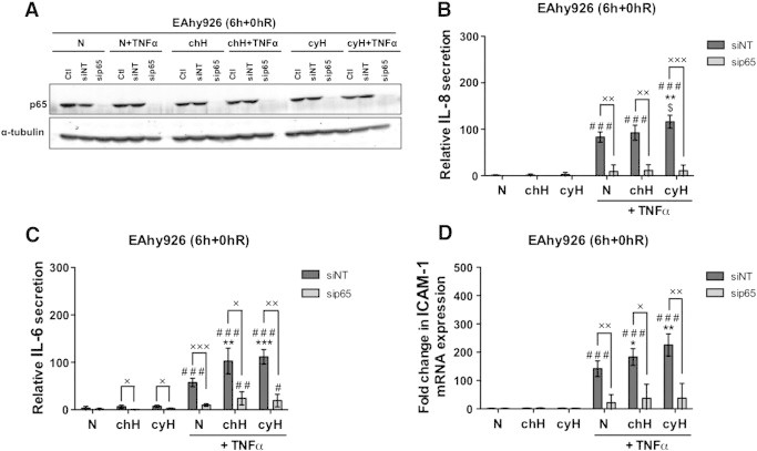 Figure 5