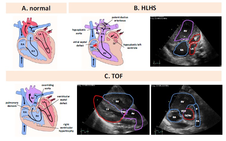 Fig. (1)