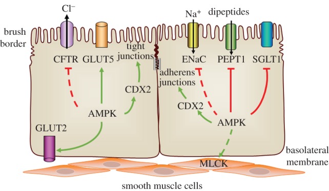 Figure 1.