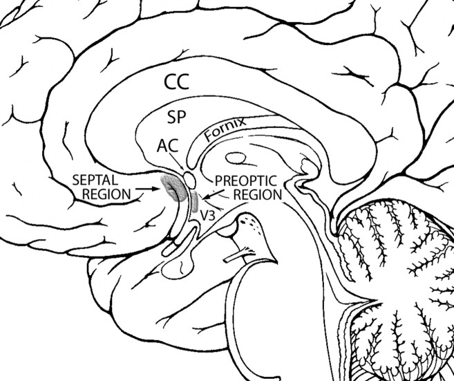 Fig 1.