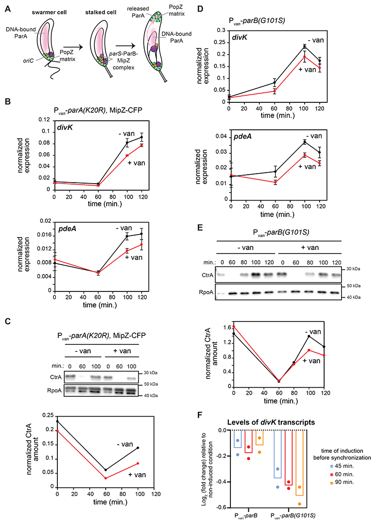 Figure 3: