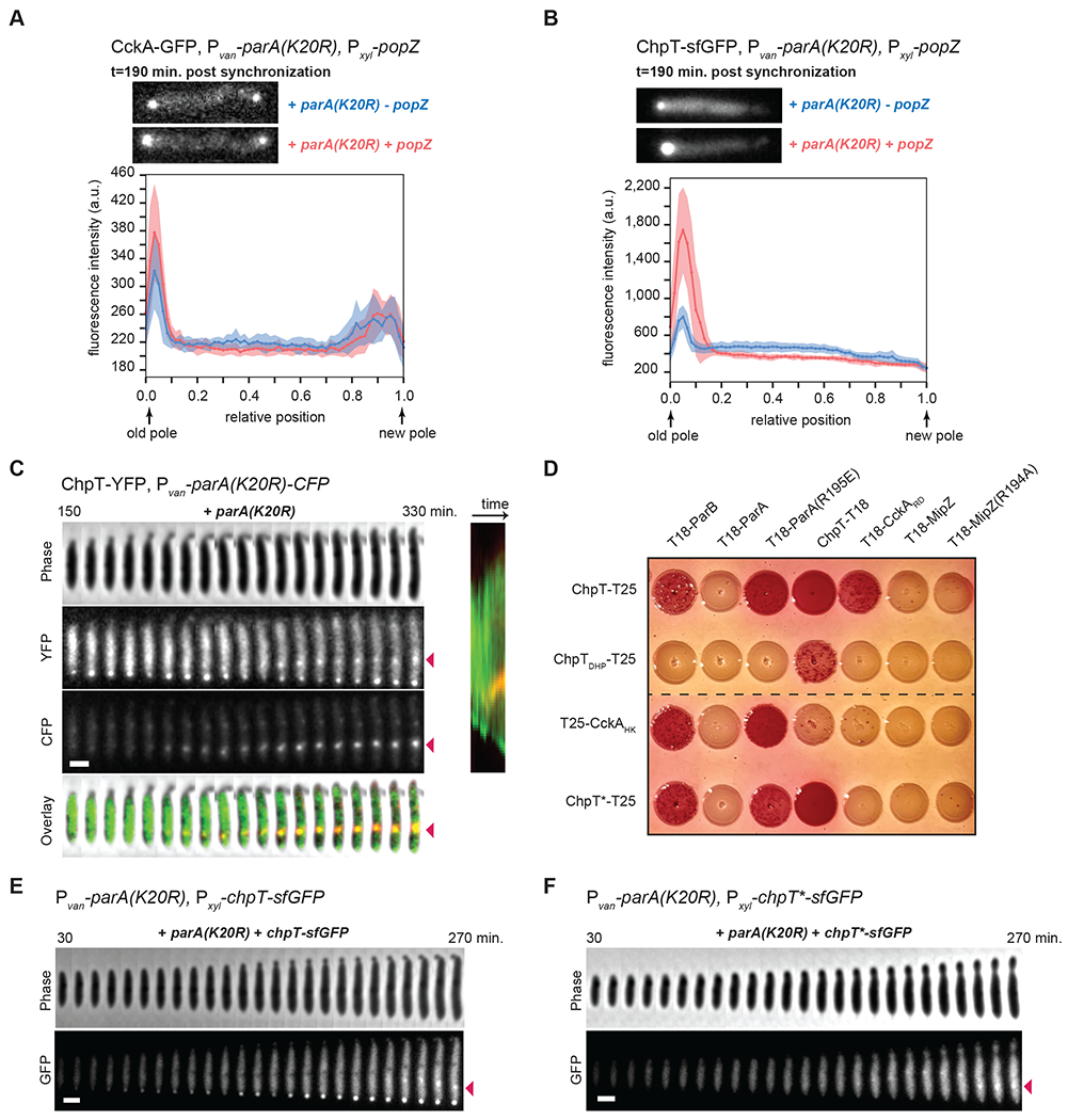 Figure 5: