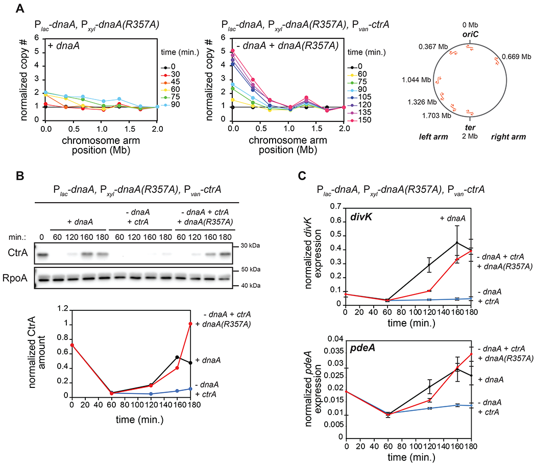 Figure 2: