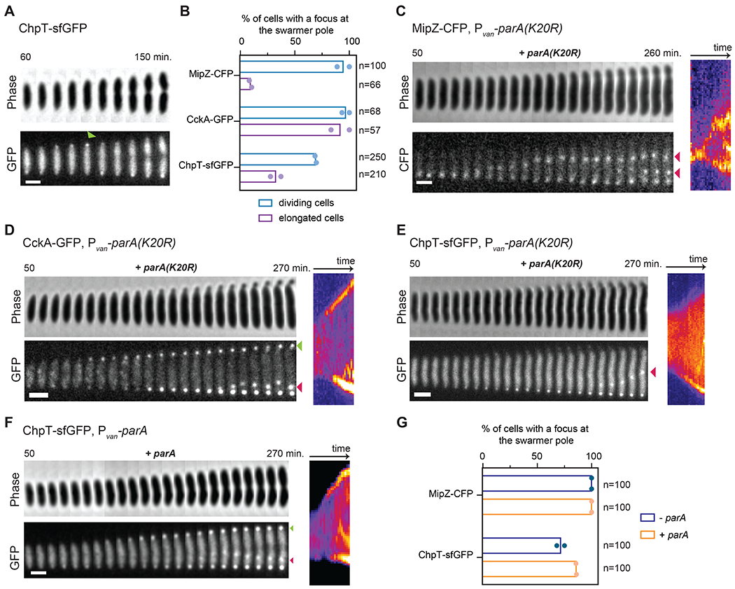 Figure 4: