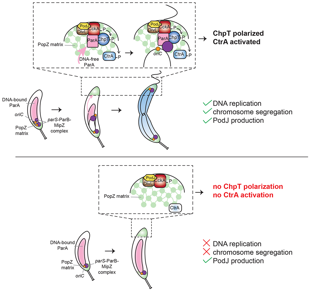 Figure 6: