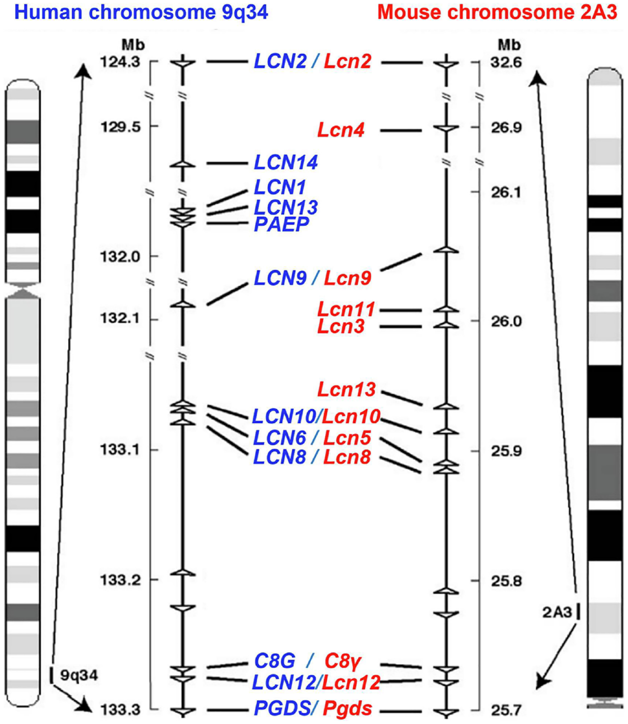 Figure 1: