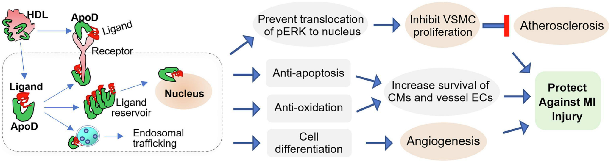 Figure 3: