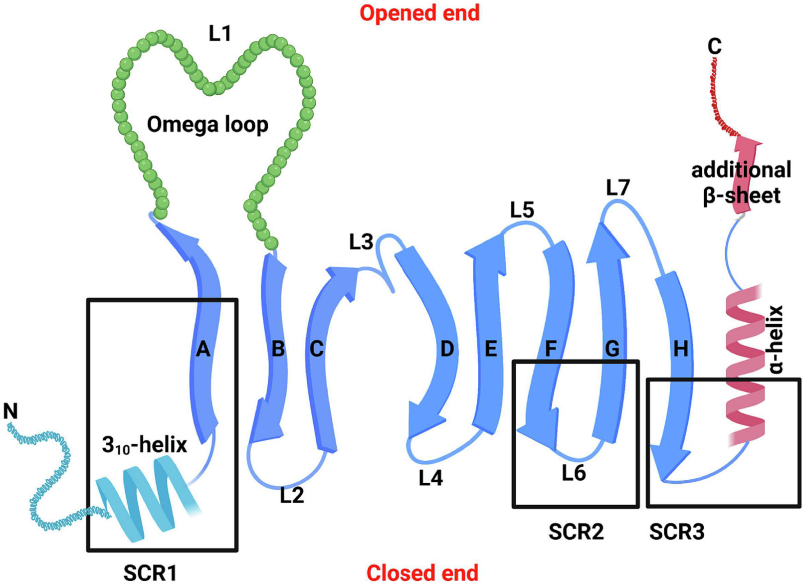 Figure 2: