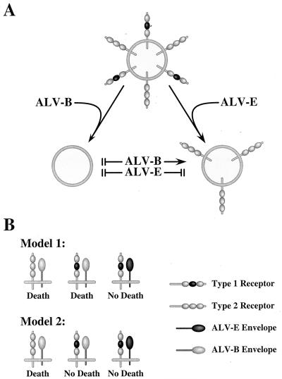 FIG. 5