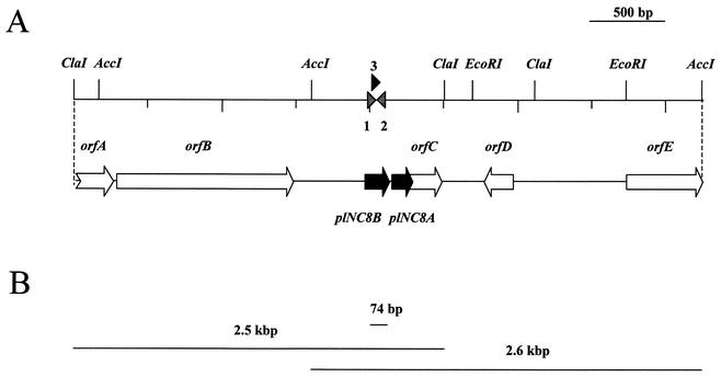 FIG. 3.