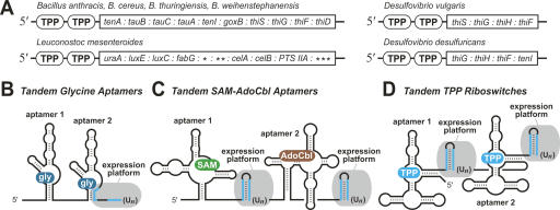 FIGURE 1.