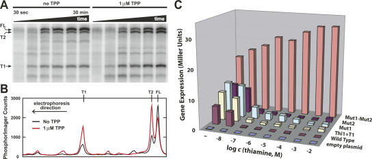 FIGURE 5.