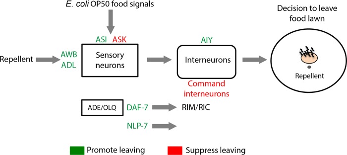 Fig 8