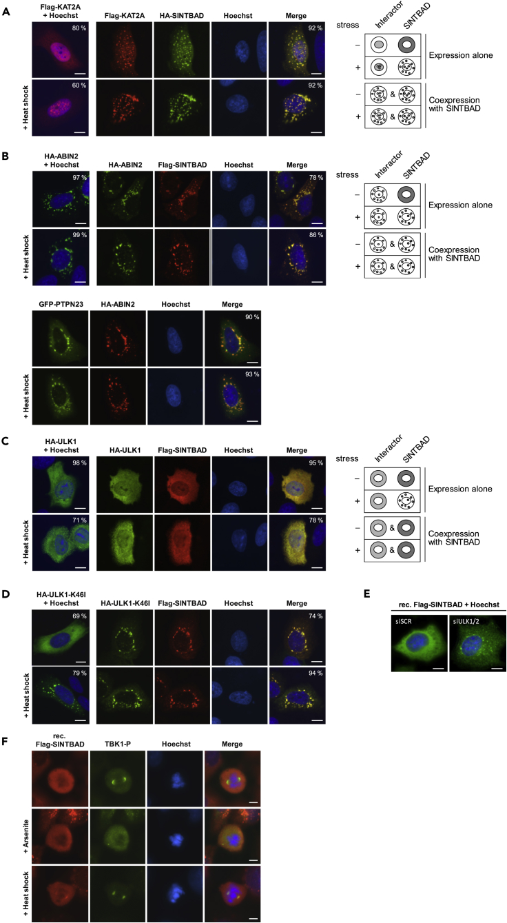 Figure 6