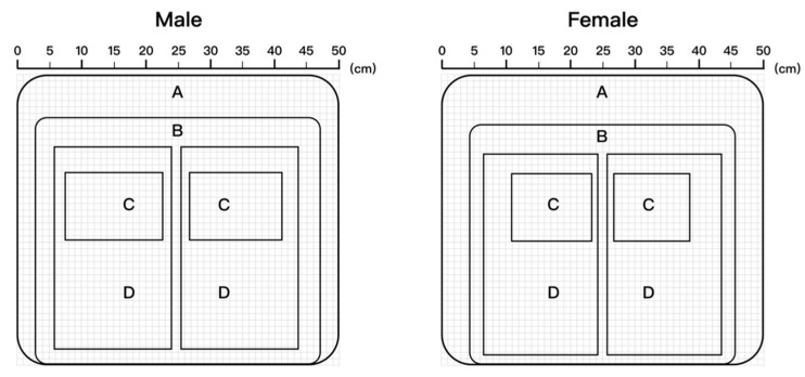 Hole Matrix Mapping Model for Partitioned Sitting Surface Based on ...