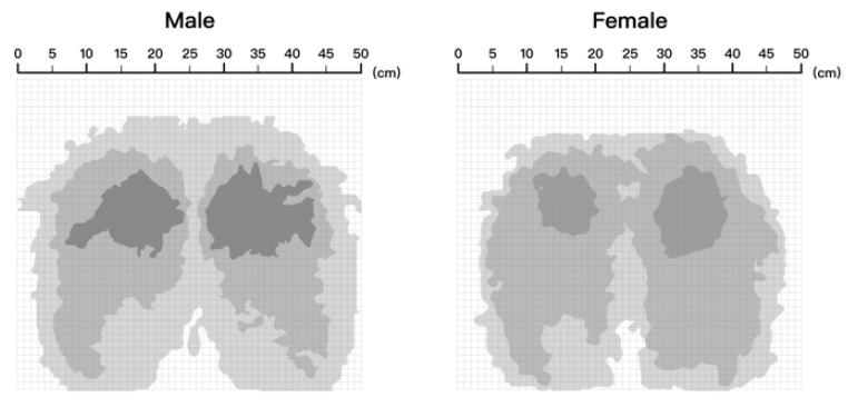 Hole Matrix Mapping Model for Partitioned Sitting Surface Based on ...