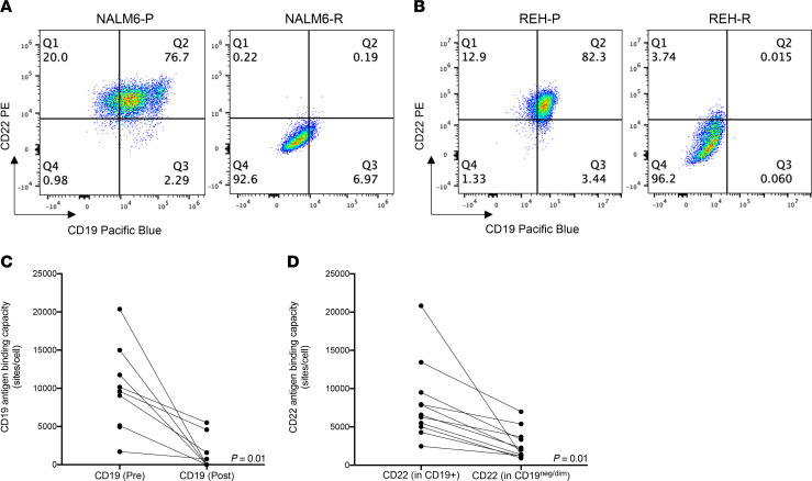 Immunotherapy-resistant acute lymphoblastic leukemia cells exhibit ...