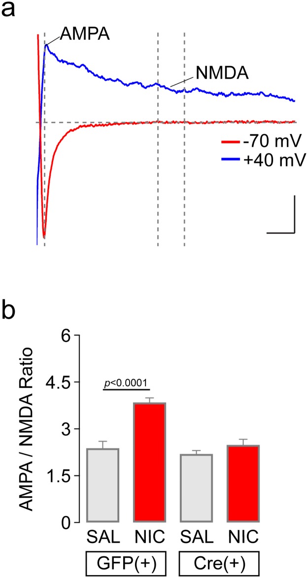 Fig 5