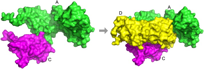 Fig 10