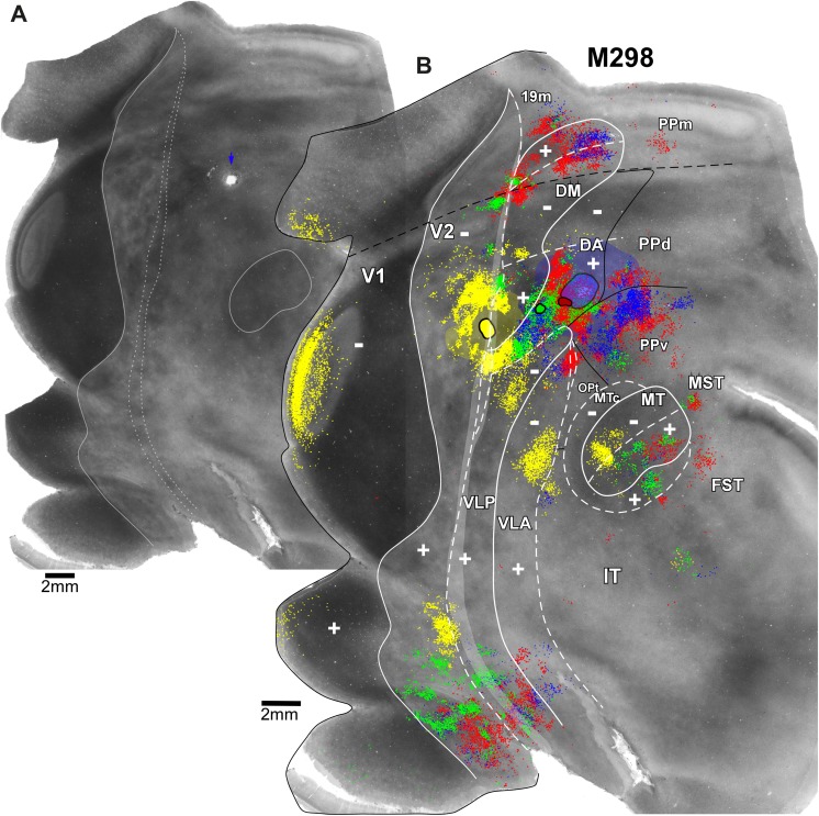 Fig. 10.