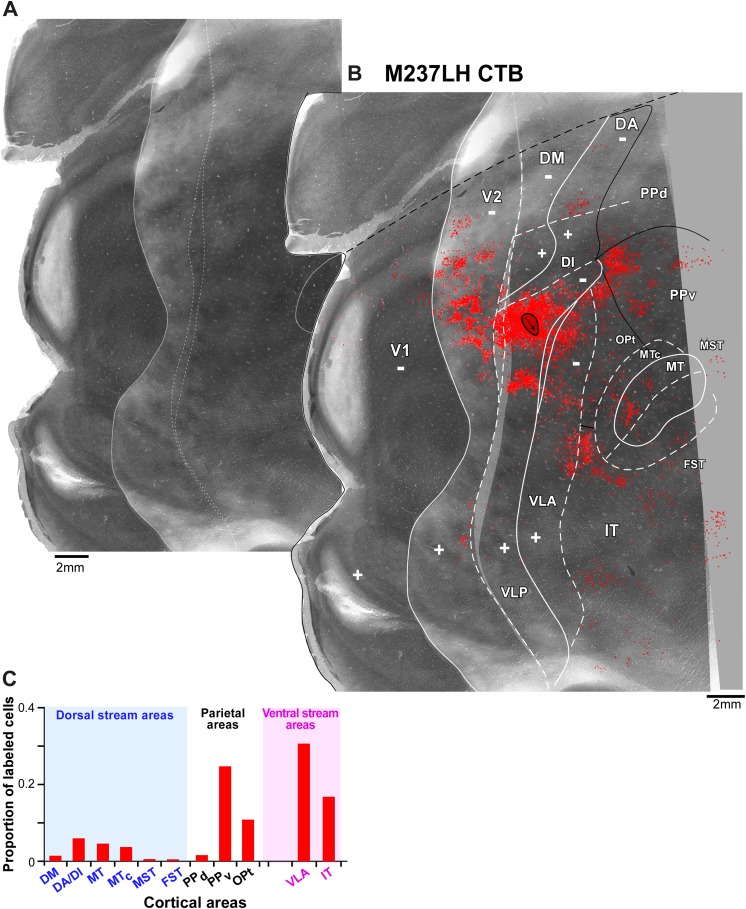 Fig. 9.