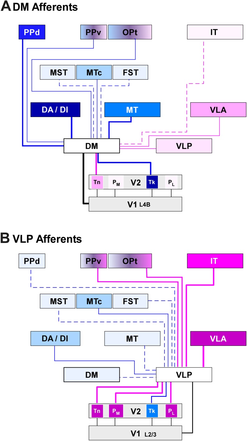 Fig. 12.