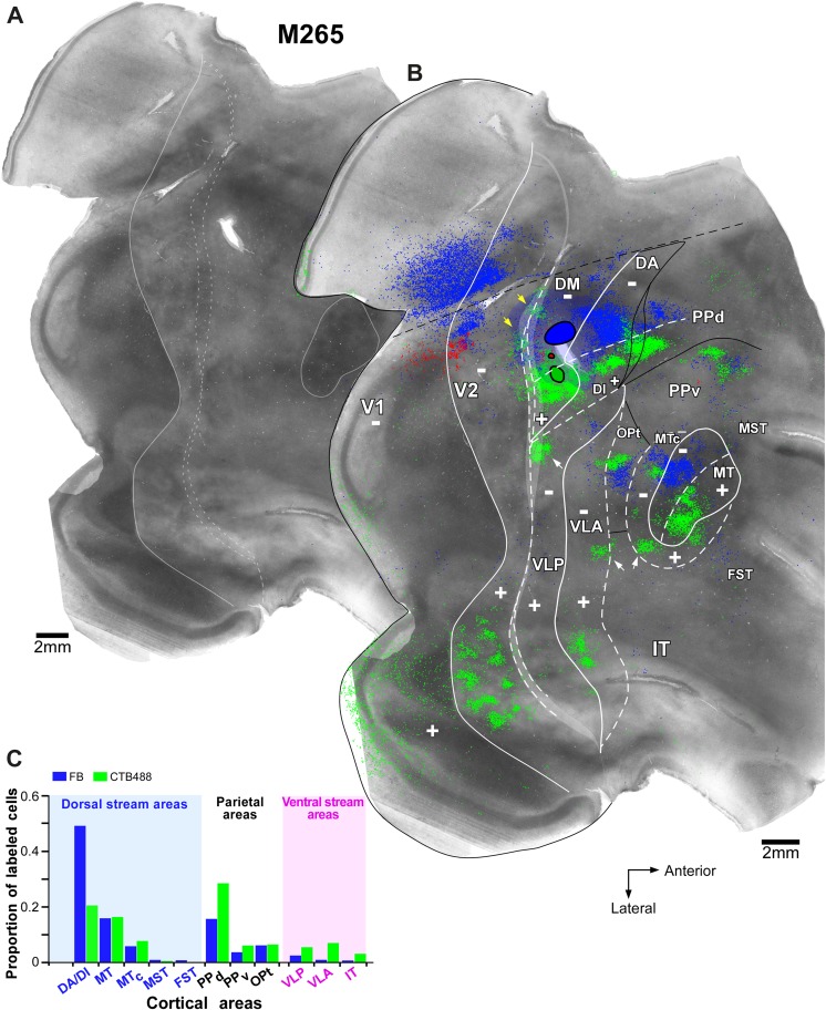 Fig. 3.