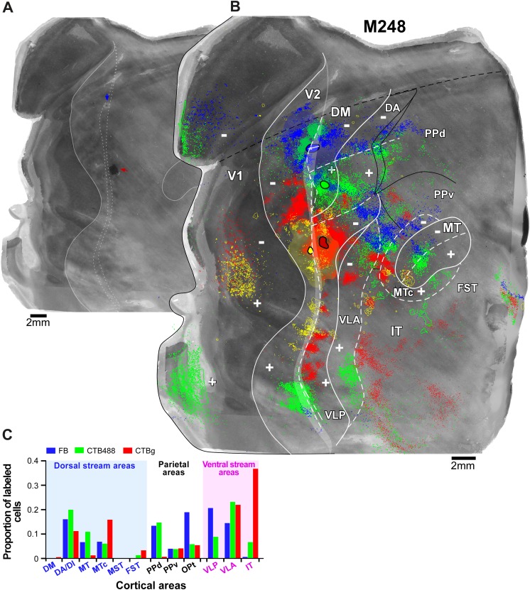 Fig. 6.