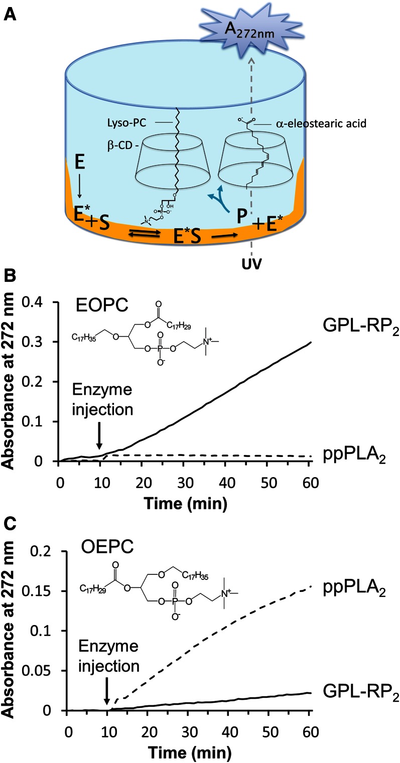 Fig. 2.