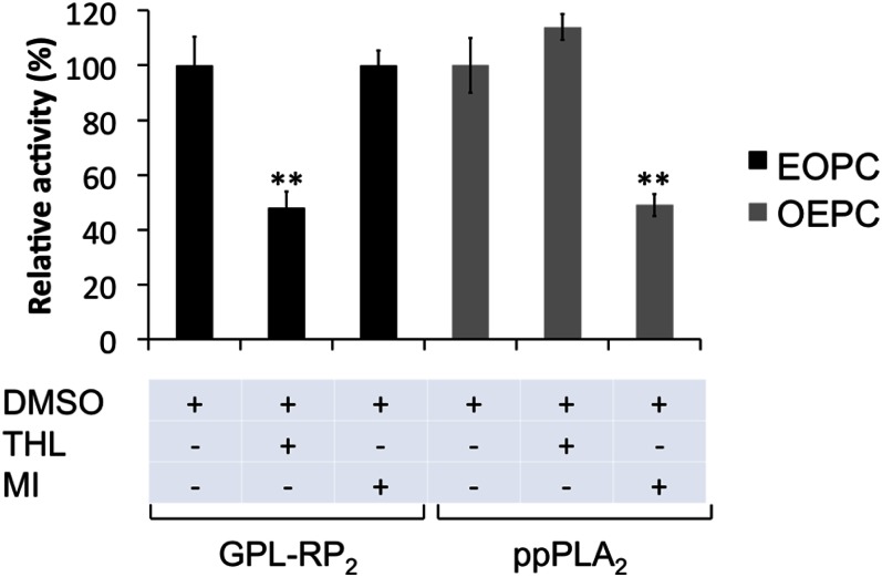 Fig. 5.