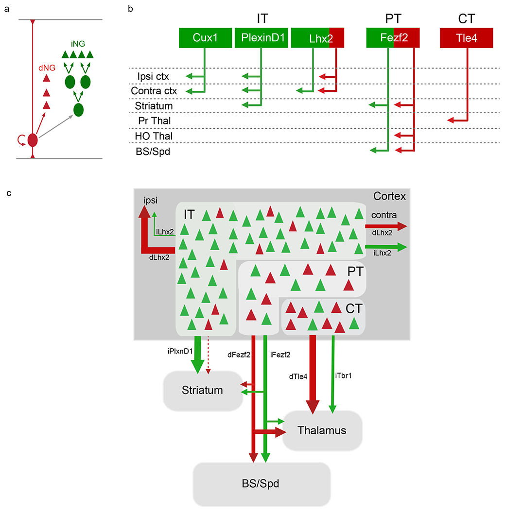 Figure 2: