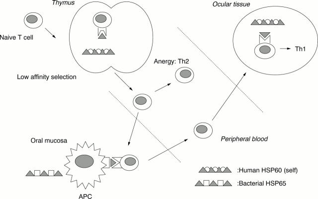 Figure 1  