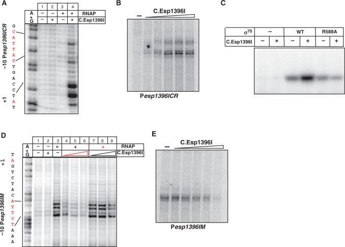 Figure 3.