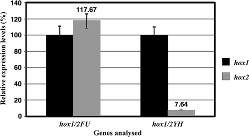 FIG. 8.