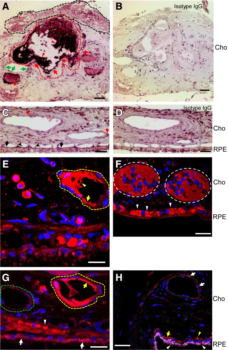 Figure 6