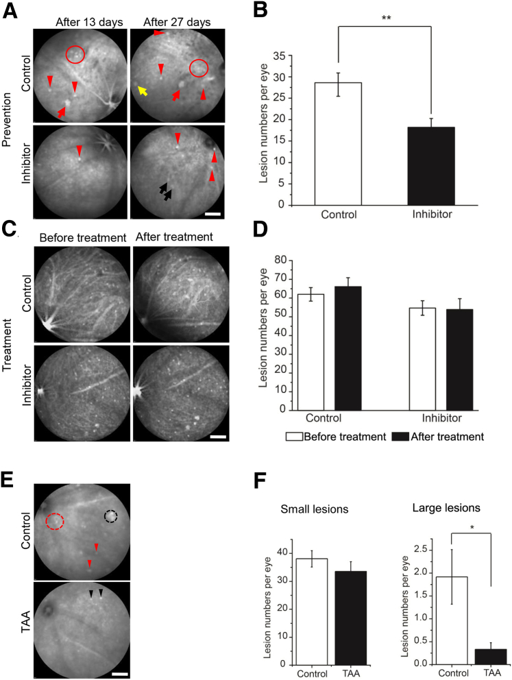 Figure 7