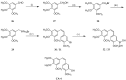 Scheme 6