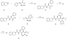 Scheme 5