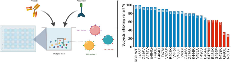 graphic file with name jciinsight-6-150012-g065.jpg