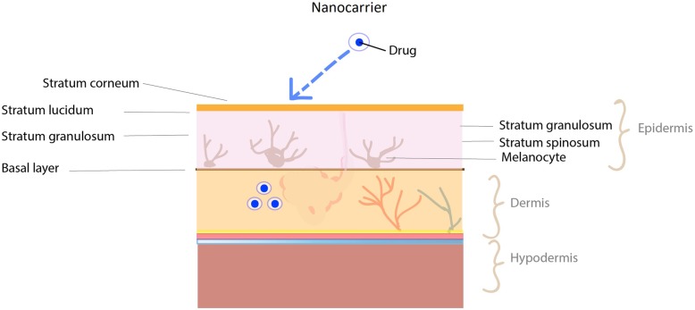 Fig. 8