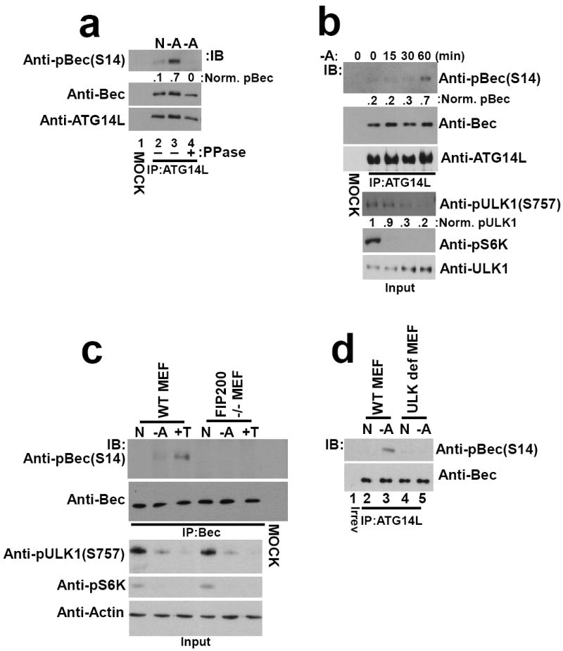 Fig.3