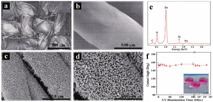 Figure 19