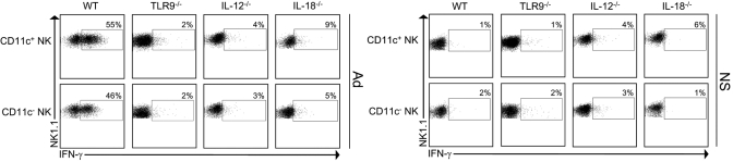 Fig. 5.