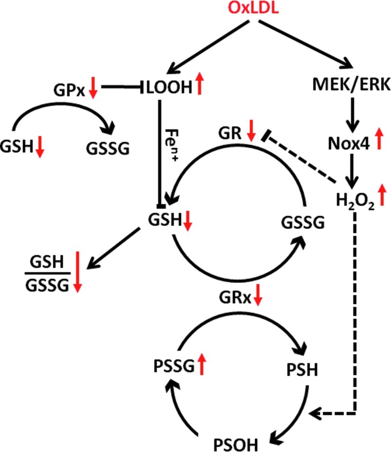 FIG. 3.