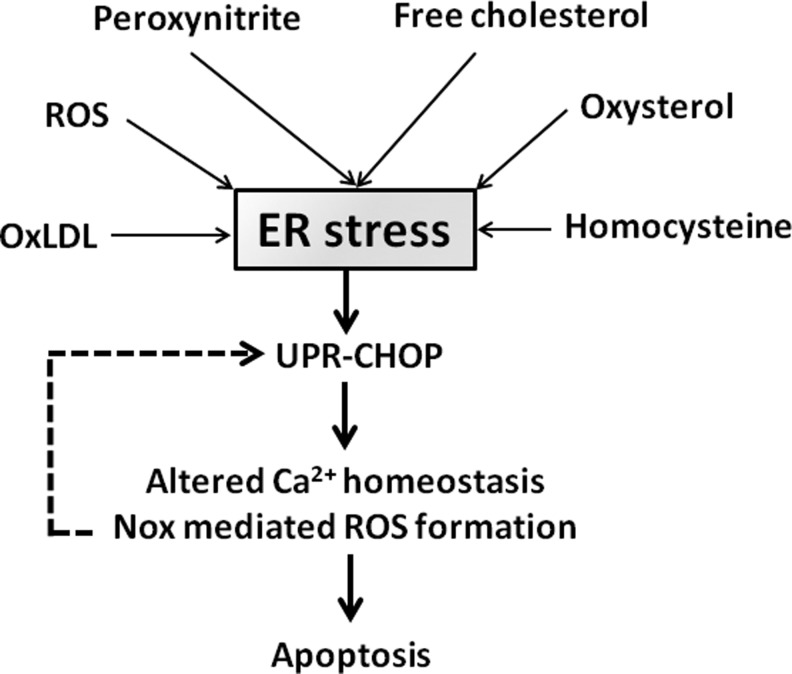 FIG. 2.