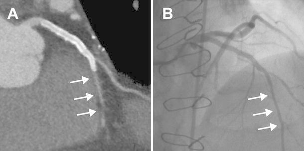 Fig. 6